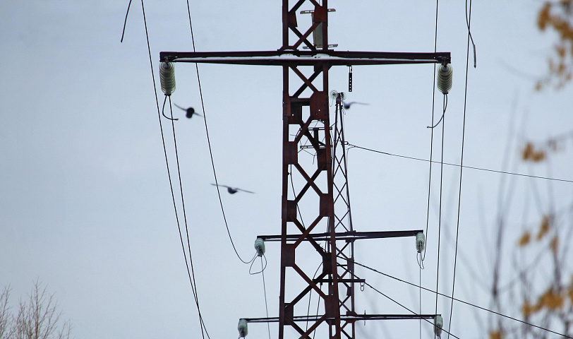 Линию электропередачи для крупного сырзавода строят под Новосибирском