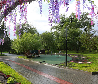В новом выпуске «Зелёный Новосибирск» урбанист оценила парк «Арена»
