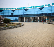 Новосибирский зоопарк бесплатно прокатит пенсионеров на колесе обозрения