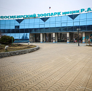Новосибирский зоопарк бесплатно прокатит пенсионеров на колесе обозрения