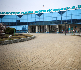 Новосибирский зоопарк бесплатно прокатит пенсионеров на колесе обозрения