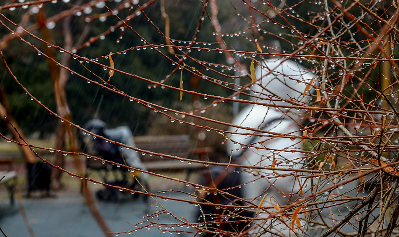 Гидрометцентр предупредил о резком ухудшении погоды в Новосибирске