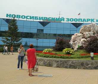 Новосибирцы предложили помощь зоопарку после страшного пожара