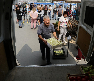 Тонну продуктов изъяли у нелегальных торговцев в Новосибирске