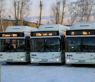 На муниципальный контракт переведут ещё два автобуса в Новосибирске