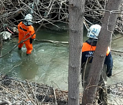Спасатели устранили затор из упавших деревьев в русле реки в Новосибирске