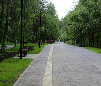 Паблик-ток о тактическом урбанизме проведут в Заельцовском парке