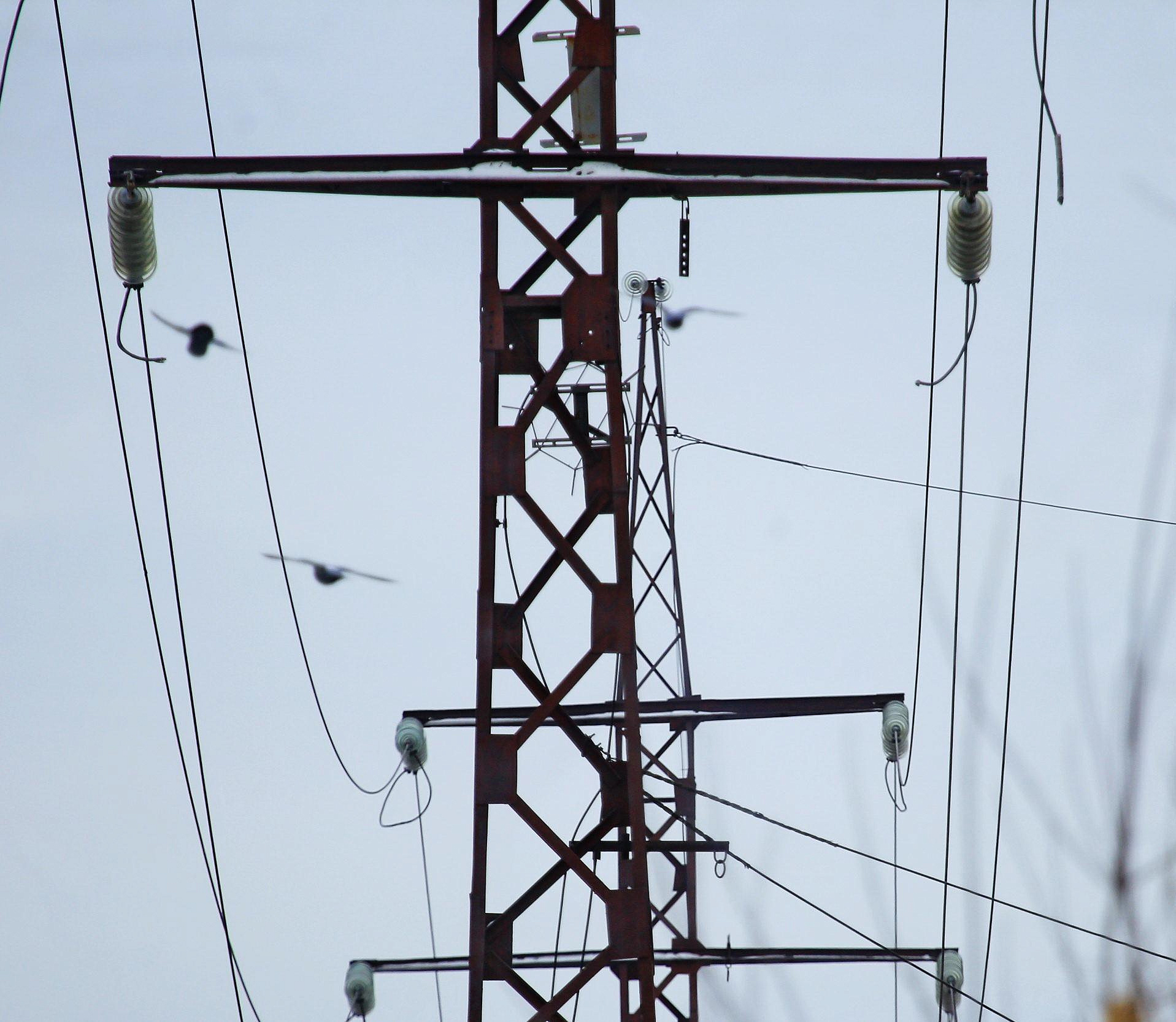 «Россети Новосибирск» вложили 4,5 млрд в модернизацию ЛЭП и подстанций
