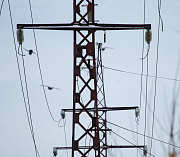 «Россети Новосибирск» вложили 4,5 млрд в модернизацию ЛЭП и подстанций