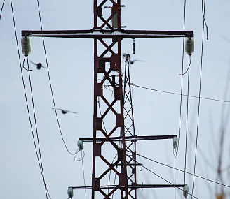 «Россети Новосибирск» вложили 4,5 млрд в модернизацию ЛЭП и подстанций