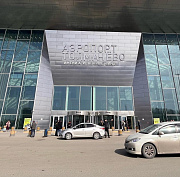 За контроль реконструкции аэропорта Толмачёво готовы заплатить 70 млн