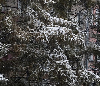 Одеваемся теплее: синоптики дали прогноз на октябрь в Новосибирске