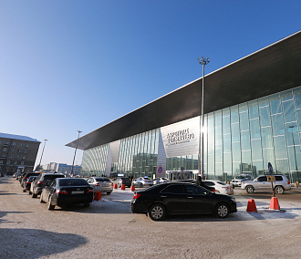 Из-за угрозы ящура усилили контроль в аэропорту Толмачёво