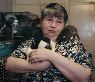 Сюжет о хозяйке приюта для крыс снял журналист из Новосибирска