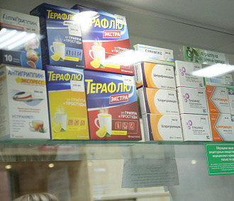 Препарат против гриппа с алтайским растением разработали в Новосибирске