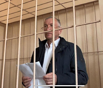 Новосибирский застройщик и депутат Джулай избежал заключения в СИЗО