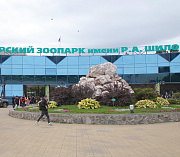 Новосибирский зоопарк обменялся мармозетками с коллегами из Калуги
