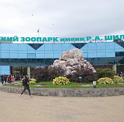 Новосибирский зоопарк обменялся мармозетками с коллегами из Калуги