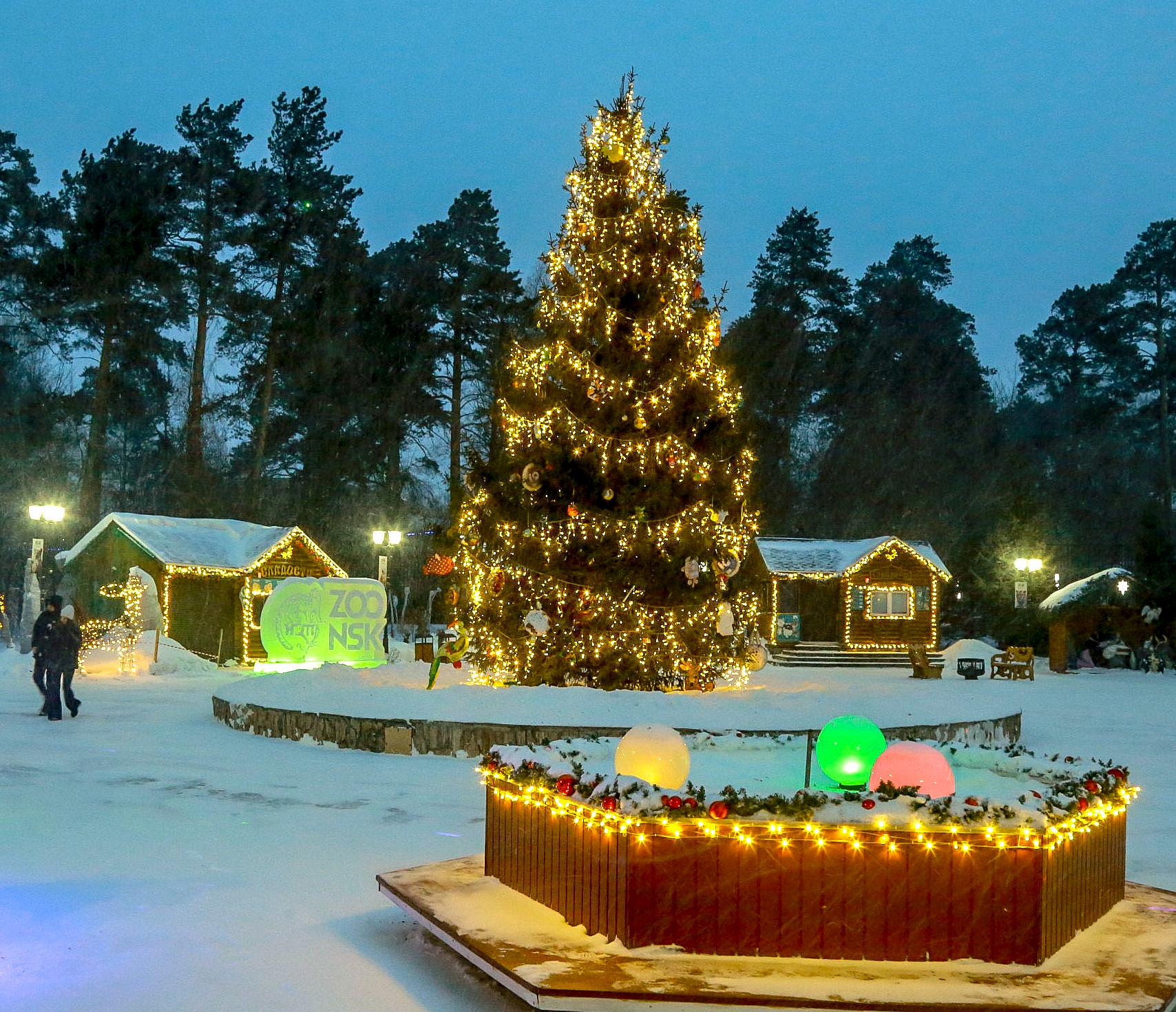 Конкурс ёлочных игрушек объявил Новосибирский зоопарк