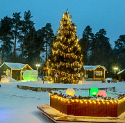 Конкурс ёлочных игрушек объявил Новосибирский зоопарк