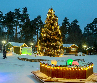 Конкурс ёлочных игрушек объявил Новосибирский зоопарк