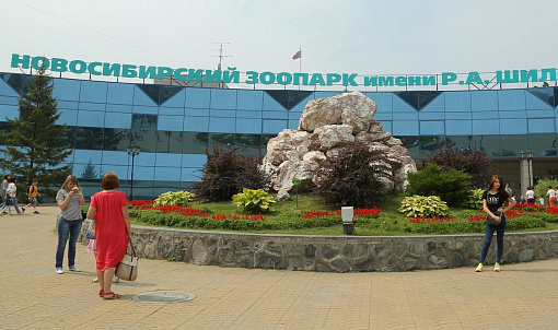 Новосибирцы предложили помощь зоопарку после страшного пожара