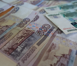 Фокстерьер Бьёрн не дал вывезти полмиллиона из Новосибирска в Стамбул