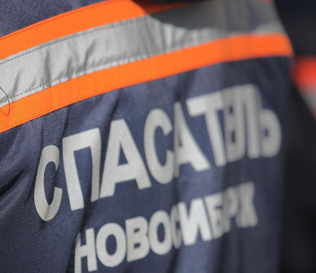 Двух тонущих косуль спасли в Новосибирске
