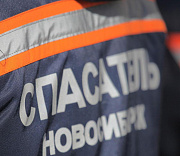 В Новосибирске спасли двух тонущих косуль
