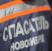 Двух тонущих косуль спасли в Новосибирске