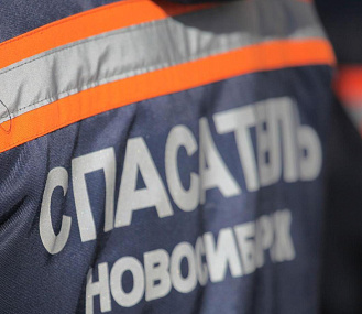 Двух тонущих косуль спасли в Новосибирске