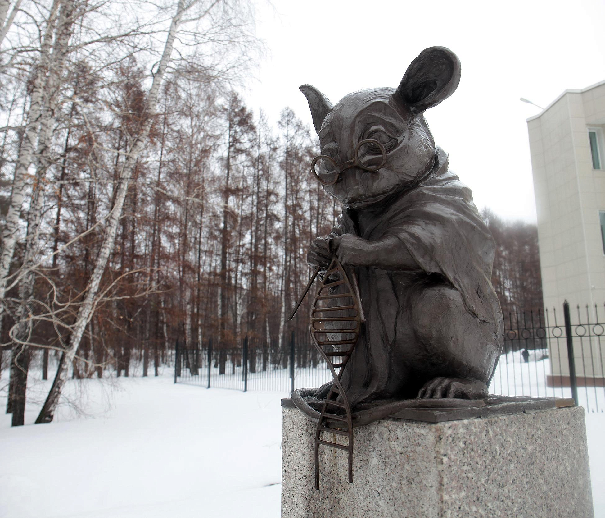 Аттракцион с мышью из Академгородка показали на выставке-форуме «Россия»
