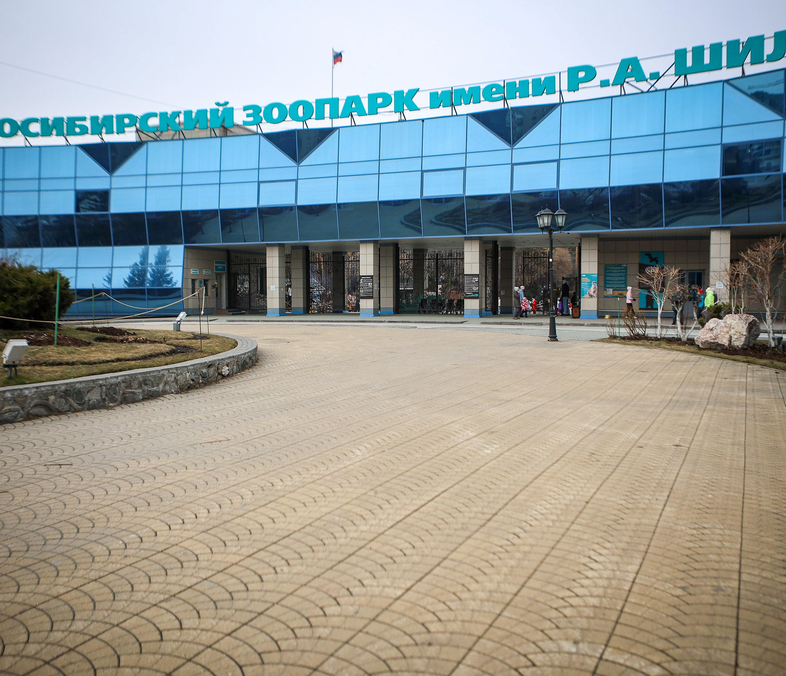 Губернатор предложил запустить шаттл до зоопарка