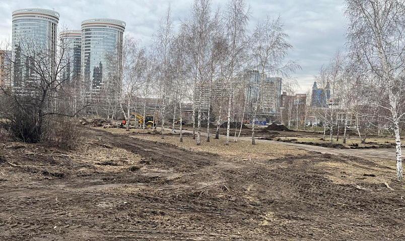 Старый асфальт сняли с дорожек в будущем сквере у заксобрания
