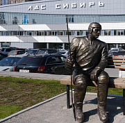 Ограду высотой 2,5 метра установят вокруг ЛДС «Сибирь» на Богдашке