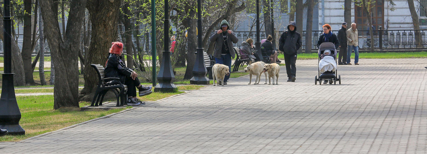 Новосибирск идущий