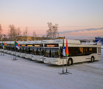 После покупки 150 автобусов в Новосибирске скорректируют маршруты