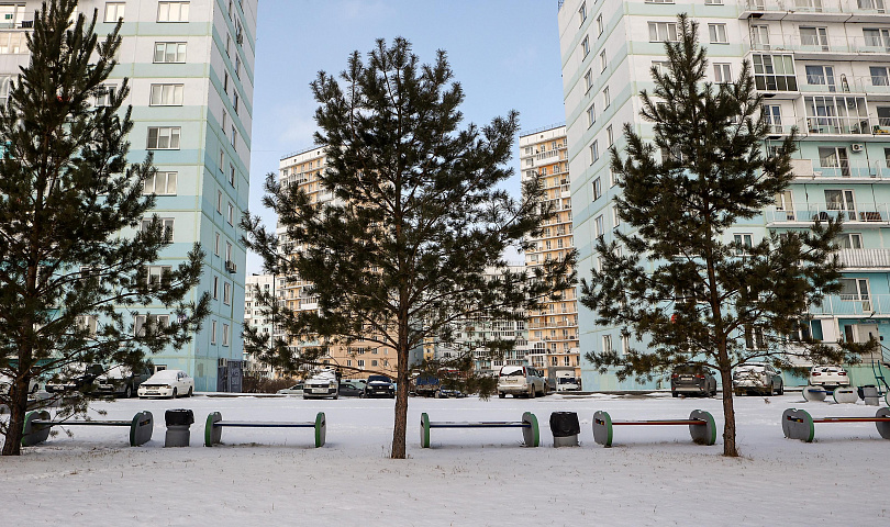 Если вы пропустили: собачьи танцы, грибная ферма и прогулка по «Бронксу»