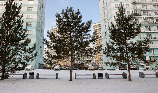 Если вы пропустили: собачьи танцы, грибная ферма и прогулка по «Бронксу»