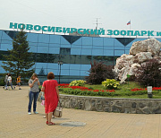 Международную ночь летучих мышей отметит Новосибирский зоопарк 31 августа