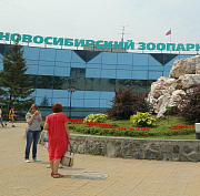 Международную ночь летучих мышей отметит Новосибирский зоопарк 31 августа