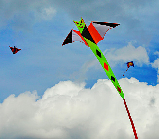 В погоне за ветром: фестиваль воздушных змеев прошёл в Новосибирске