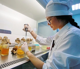 «Взрывать» клетки разных видов рака научились новосибирские учёные