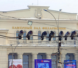 Афиша Новосибирска: куда сходить в среду, 15 октября