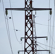 Линию электропередачи для крупного сырзавода строят под Новосибирском