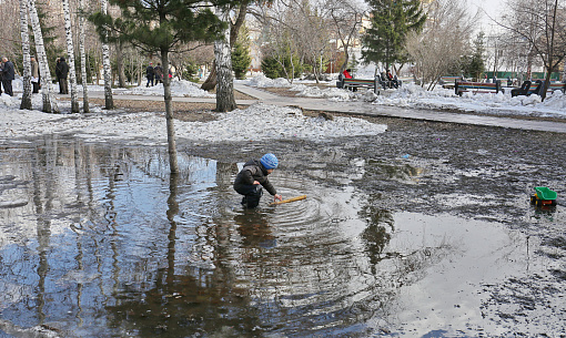 Похолодание проскользит по Новосибирску в середине недели
