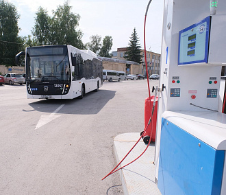 Объём муниципальных автобусных перевозок Новосибирска вырос до 30%
