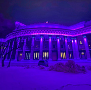 НОВАТ окрасился в фиолетовый цвет в День недоношенных детей