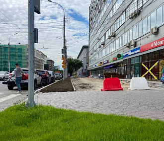 Мэр Кудрявцев: половину запланированных тротуаров уже отремонтировали