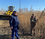 Поле с коноплёй раздавили под Новосибирском